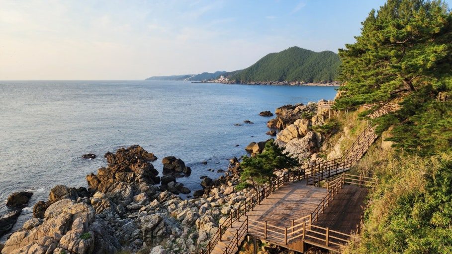 죽도산 3
