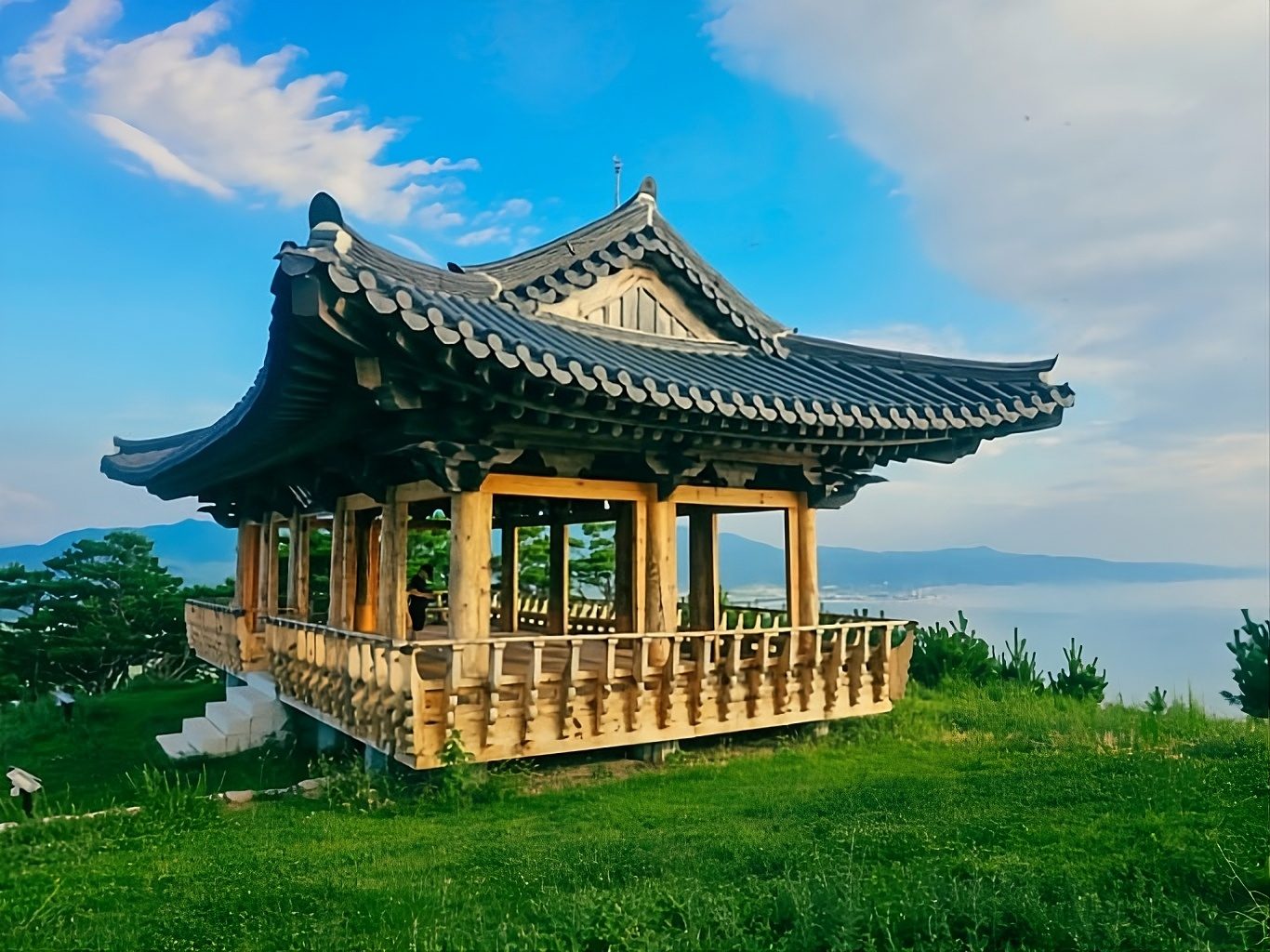 관어대 2