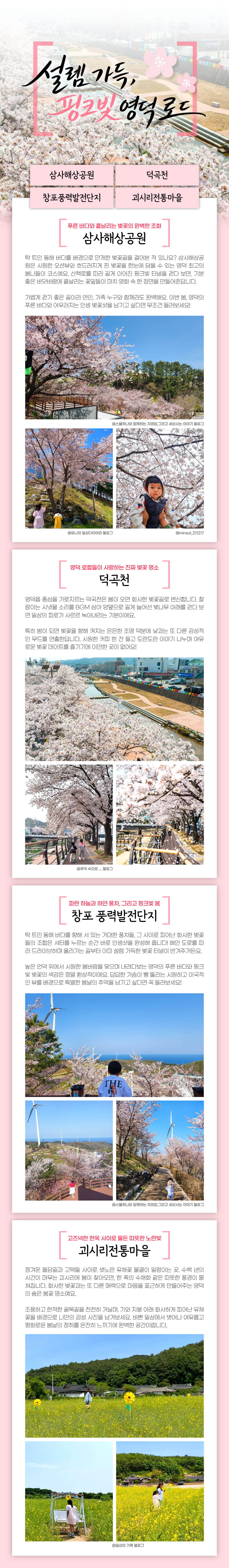 영덕 봄꽃 · 벚꽃 명소 코스