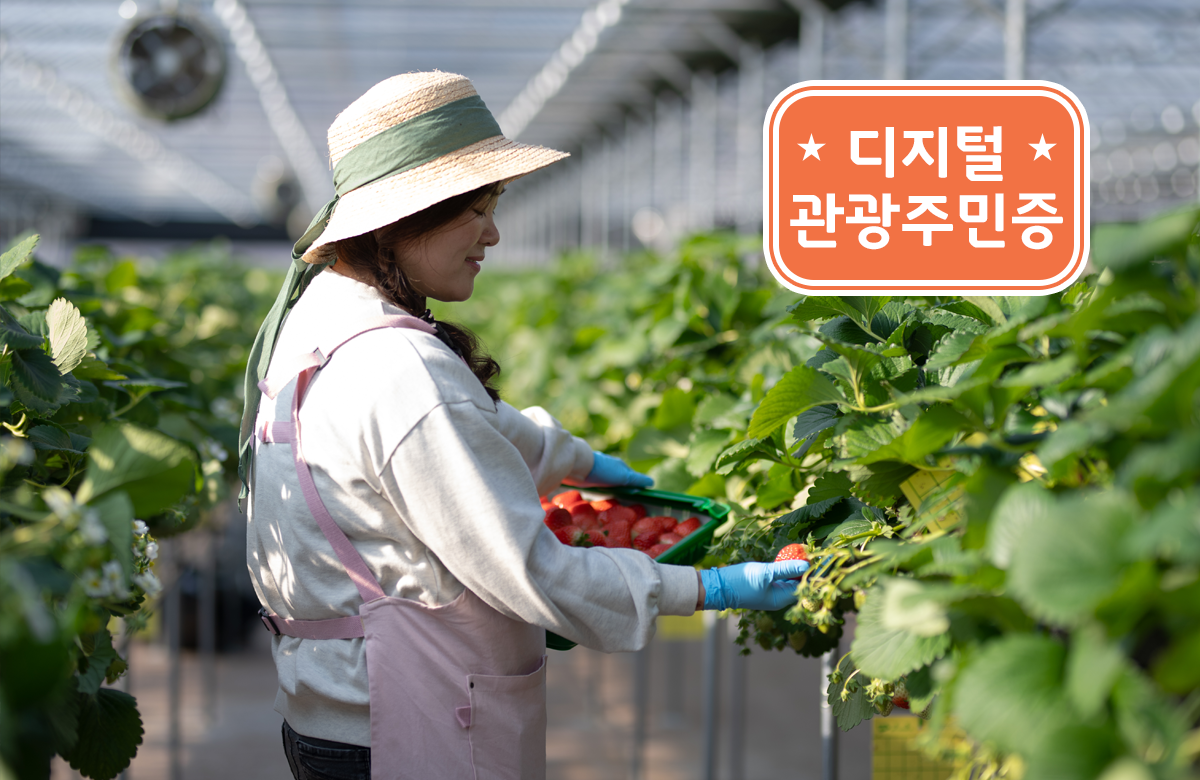 킴스베리팜