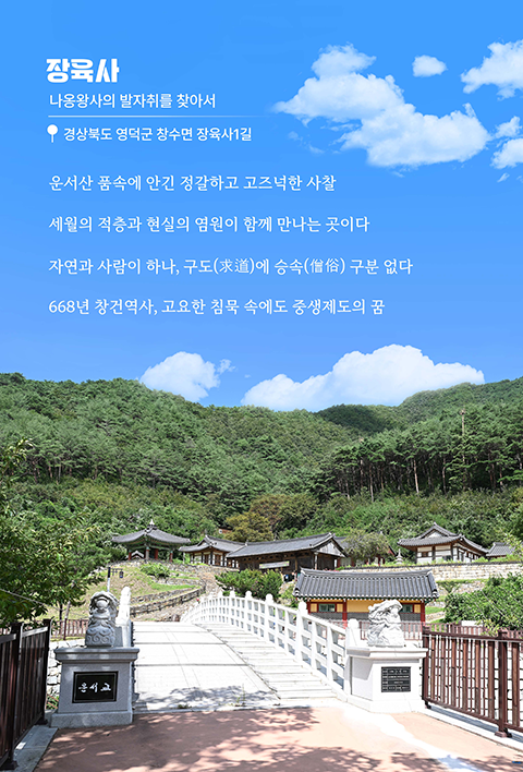 장육사