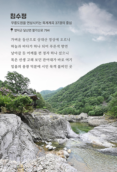 침수정